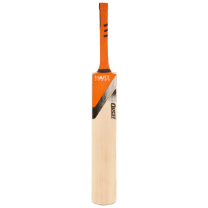 Cricket bat PNG-76763